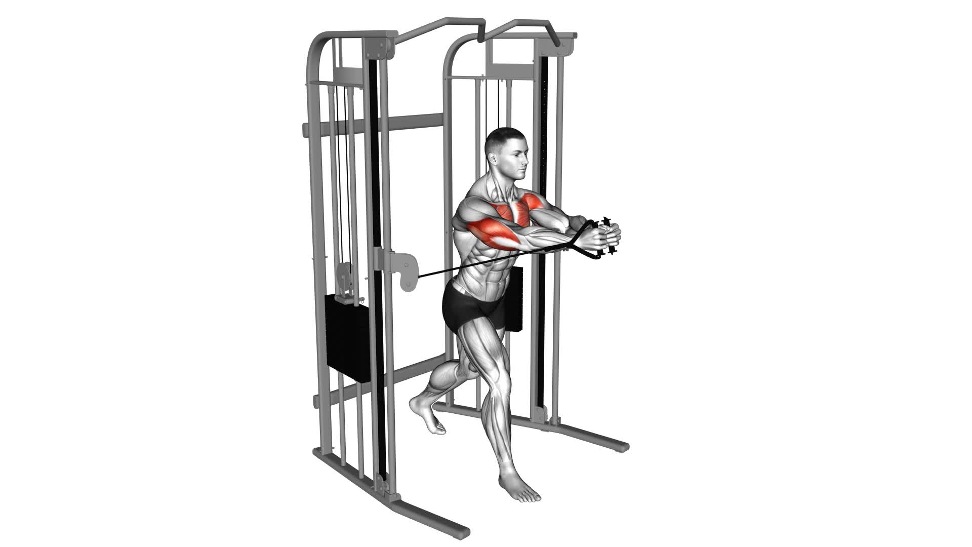 Cable Standing Close Press - Video Exercise Guide & Tips