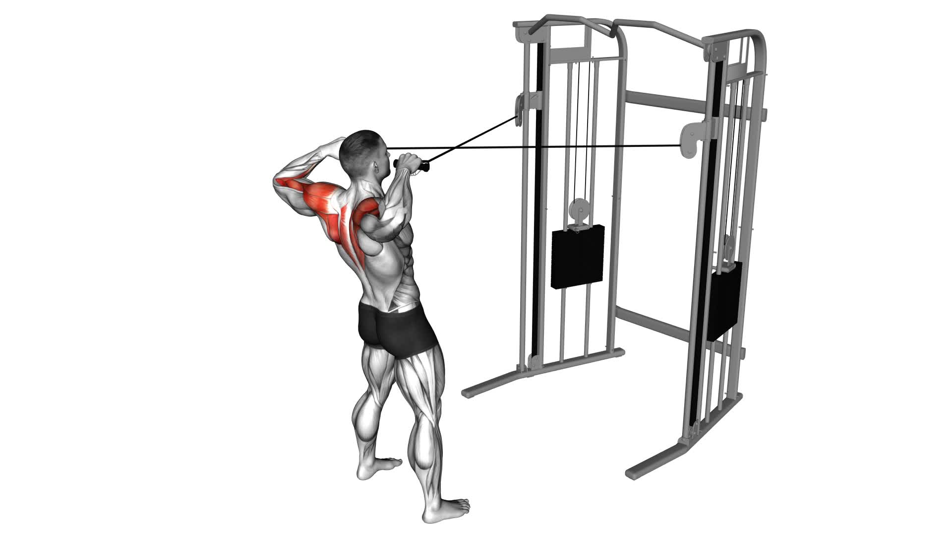 Cable Standing Face Pull - Video Exercise Guide & Tips