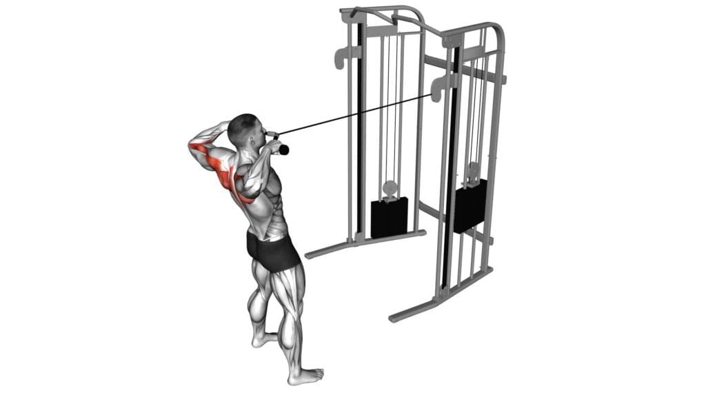 Cable Standing Face Pull With Rope Video Exercise Guide Tips Cable Standing Face Pull With Rope Video Exercise Guide Tips