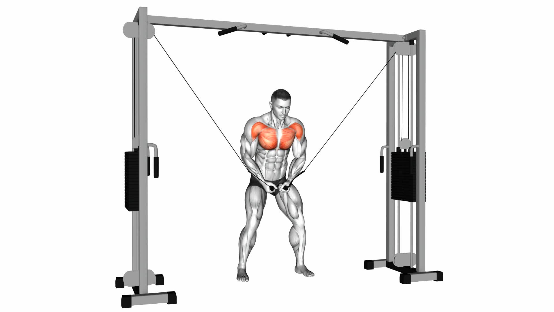 Cable Standing Fly - Video Exercise Guide & Tips