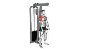 Cable Standing Front Raise Variation - Video Exercise Guide & Tips