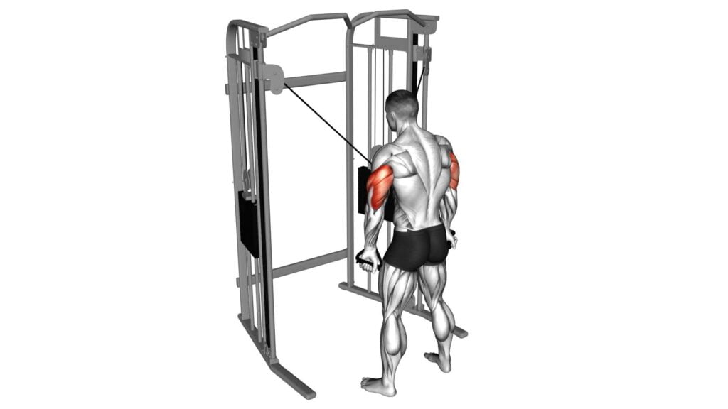 Cable Standing High Cross Triceps Extension - Video Exercise Guide ...