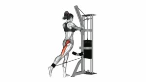 Cable Standing Hip Extension (Version 2) - Video Exercise Guide & Tips