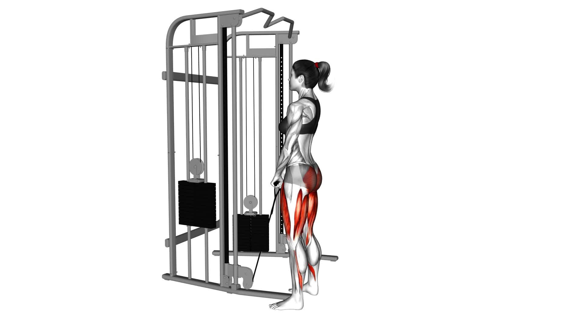 Cable Standing Hip Thrust (female) - Video Exercise Guide & Tips