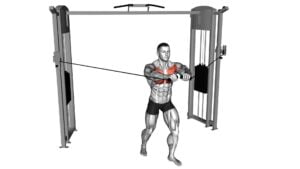 Cable Standing Neutral Grip Fly (Male) - Video Exercise Guide & Tips