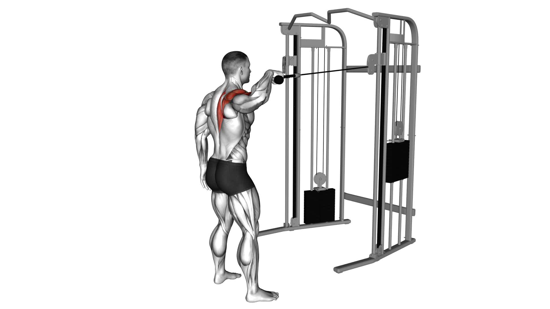 Cable Standing One Arm Face Pull - Video Exercise Guide & Tips