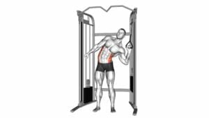Cable Standing One Arm Serratus (Obliques) Crunch - Video Exercise Guide & Tips