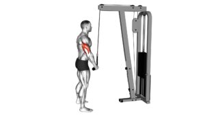 Cable Standing One Arm Tricep Pushdown (Overhand Grip) - Video Exercise Guide & Tips