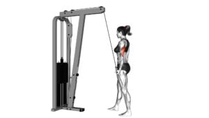 Cable Standing One Arm Triceps Extension (female) - Video Exercise Guide & Tips