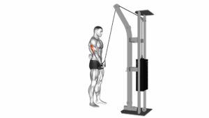 Cable Standing One Arm Triceps Extension - Video Exercise Guide & Tips