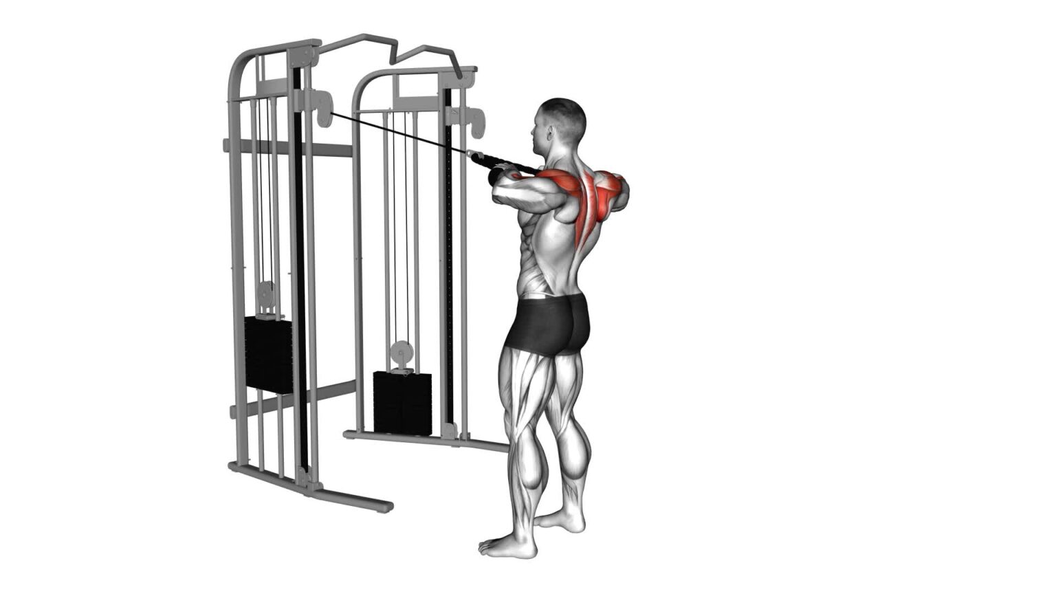 Cable Standing Rear Delt Row (With Rope) - Video Exercise Guide & Tips ...