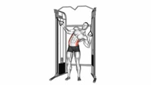 Cable Standing Serratus (Obliques) Crunch - Video Exercise Guide & Tips