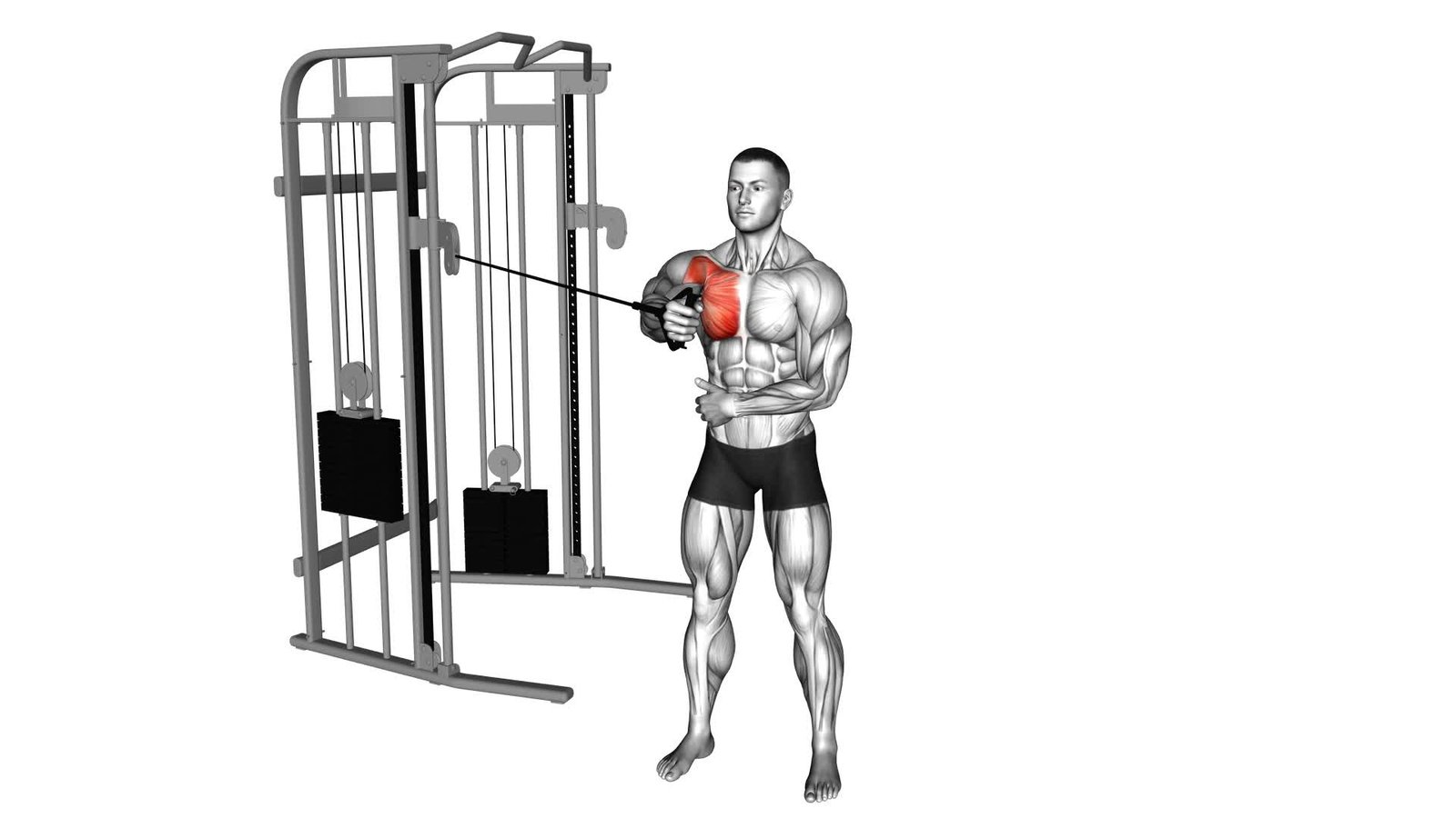 One Arm Cable Chest Fly How To Do The Machine Cable Fly Exercise To One Arm Cable Chest Fly How To Do The Machine Cable Fly Exercise To