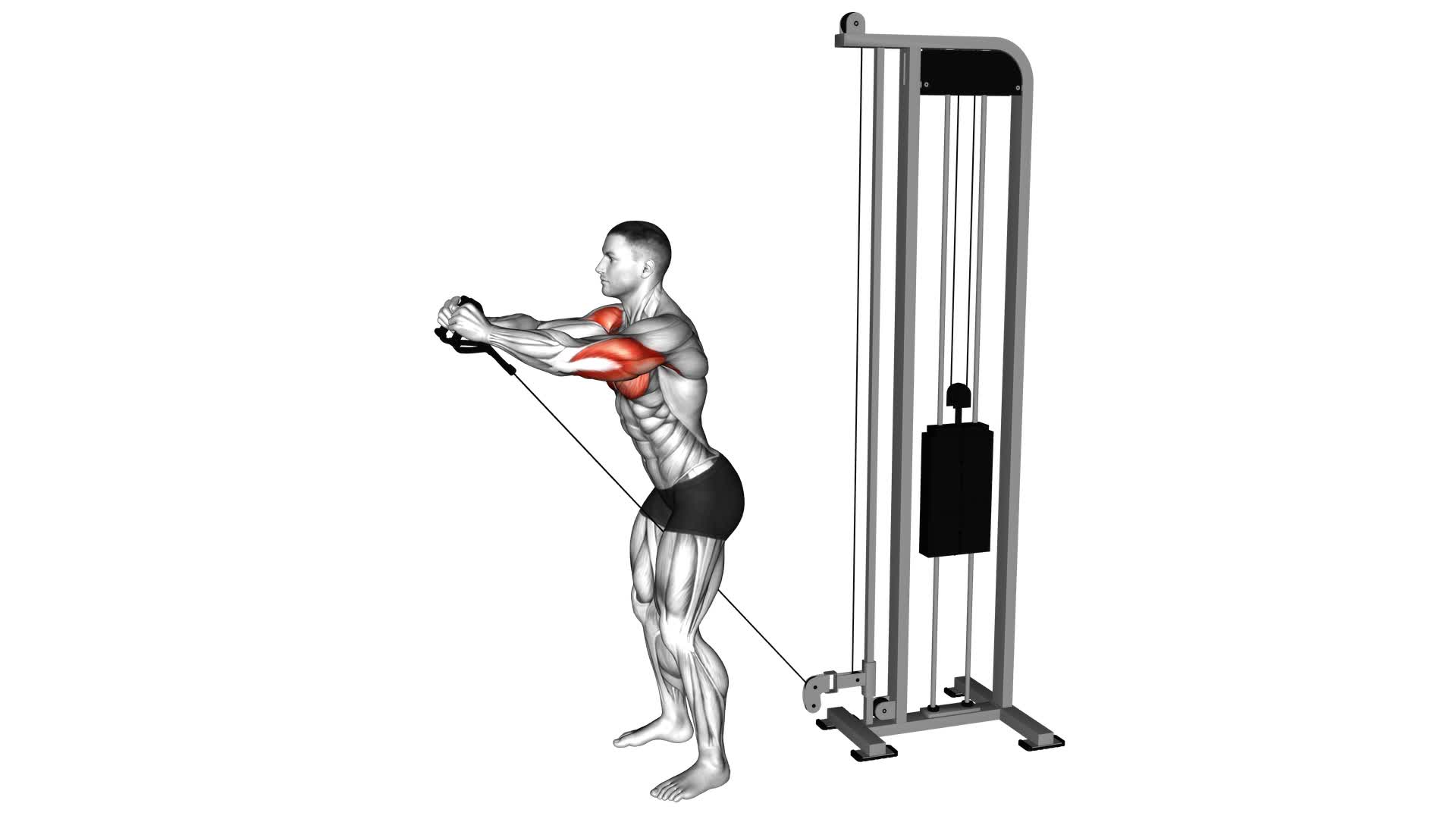 Cable Standing Squeeze Upper Chest Press (male) - Video Exercise Guide & Tips