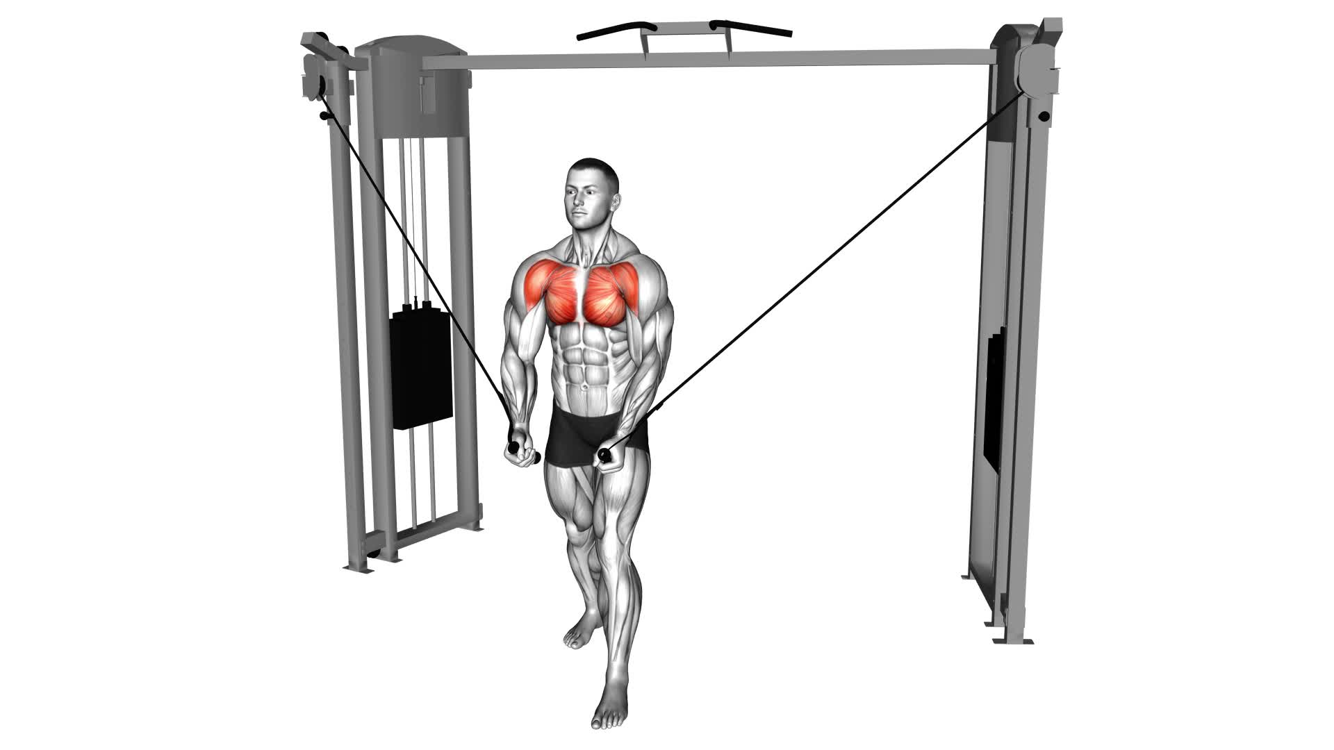 Cable Standing-Up Straight Crossovers - Video Exercise Guide & Tips