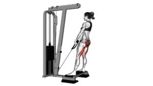 Cable Stiff Leg Deadlift From Stepbox (Female) - Video Exercise Guide & Tips