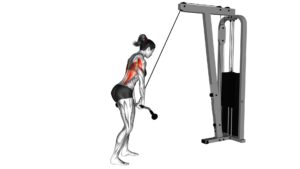 Cable Straight Arm Pulldown (Version 2) (Female) - Video Exercise Guide & Tips