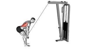 Cable Straight Arm Pulldown (VERSION 2) - Video Exercise Guide & Tips