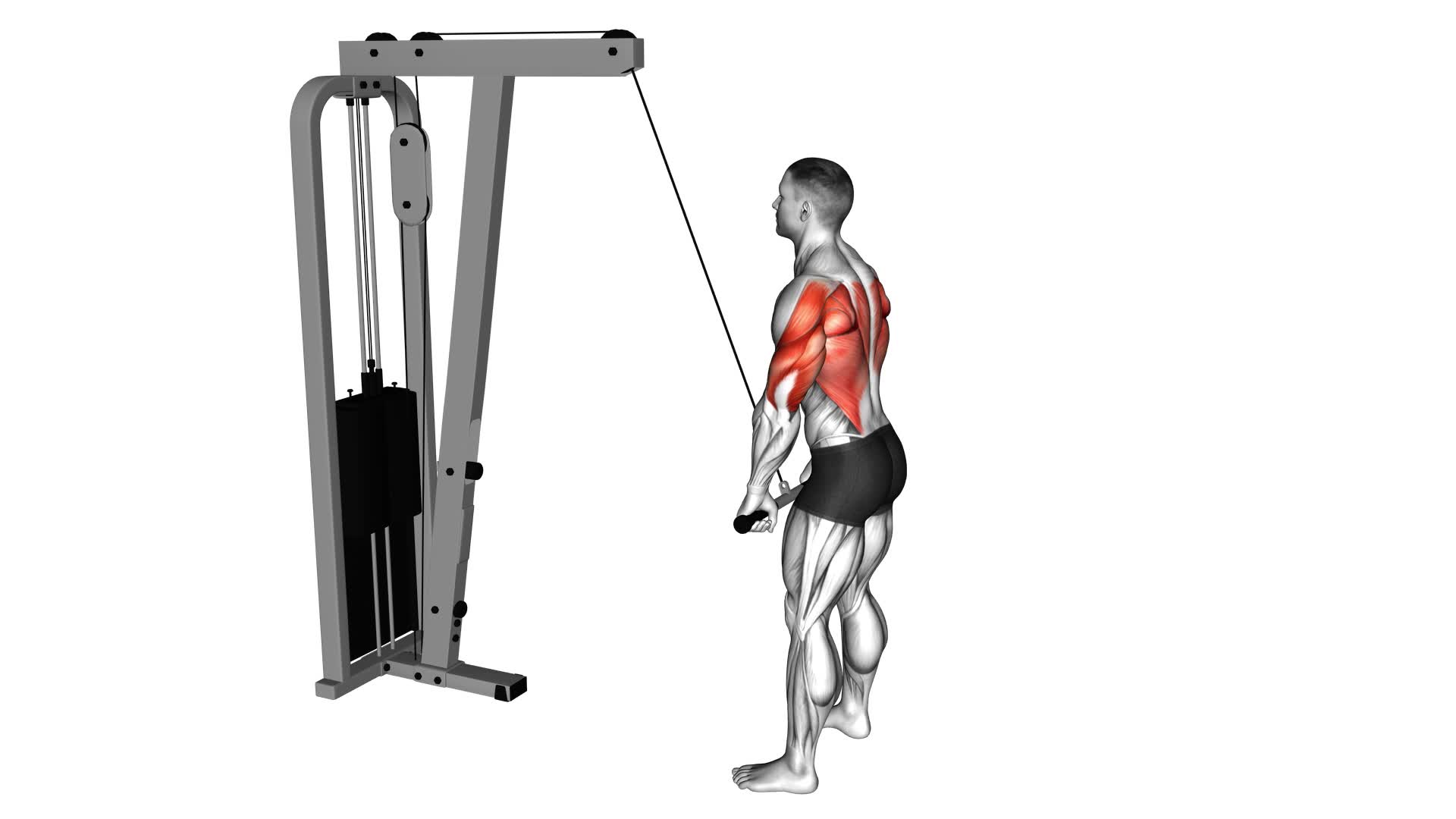 Cable Straight Arm Pulldown - Video Exercise Guide & Tips
