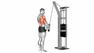 Cable Straight Arm Pulldown (With Rope) - Video Exercise Guide & Tips