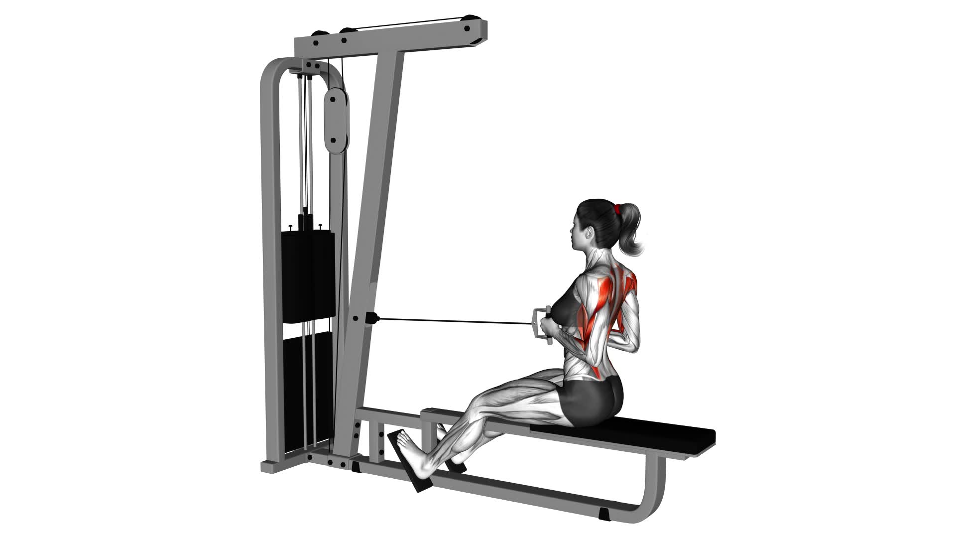 Cable Straight Back Seated Row (female) - Video Exercise Guide & Tips