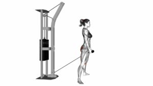 Cable Straight Legs Pull Through (With Rope) (Female) - Video Exercise Guide & Tips