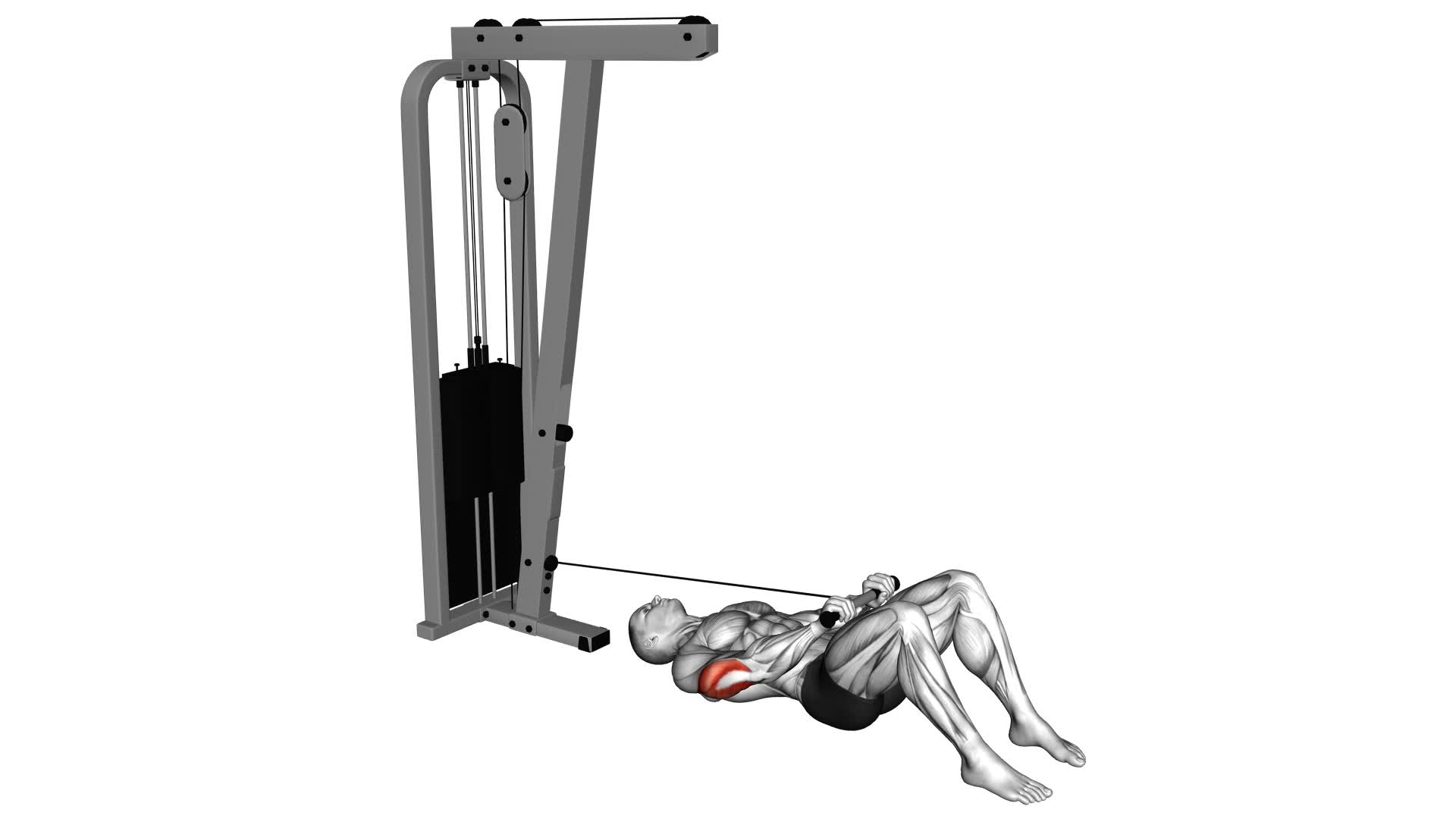 Cable Triceps Pushdown on Floor - Video Exercise Guide & Tips