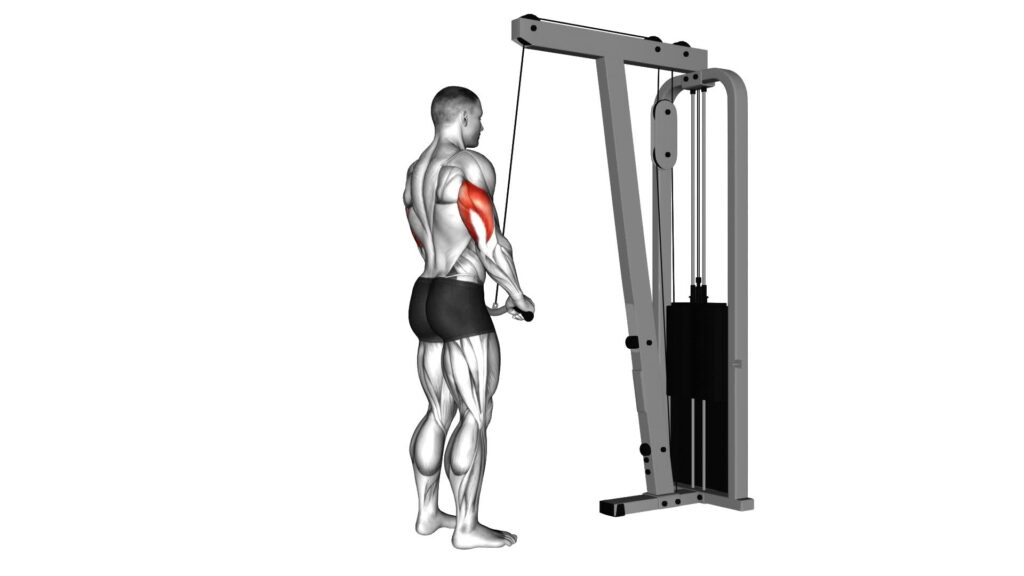 Cable One Arm Side Triceps Pushdown: Video Guide & Tips