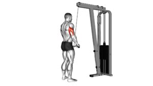 Cable Triceps Pushdown (SZ-bar) - Video Exercise Guide & Tips