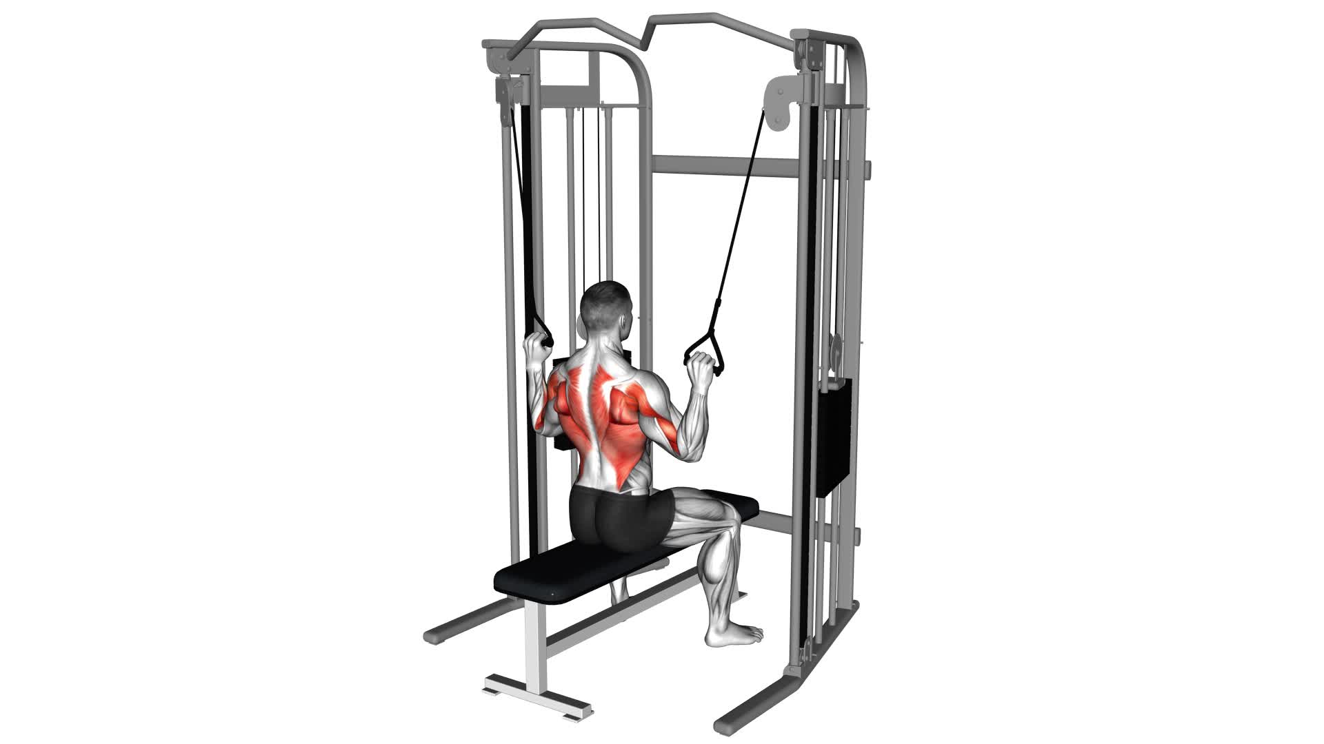 Cable Twin Handle Parallel Grip Lat Pulldown - Video Exercise Guide & Tips