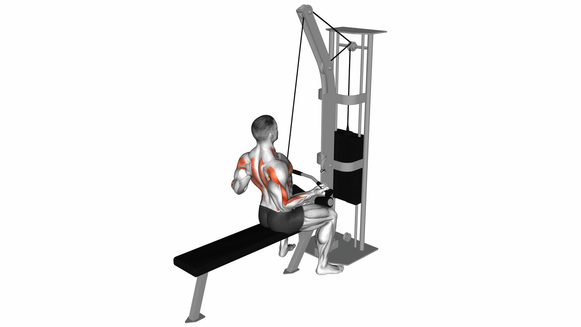 Cable Underhand Pulldown - Video Exercise Guide & Tips