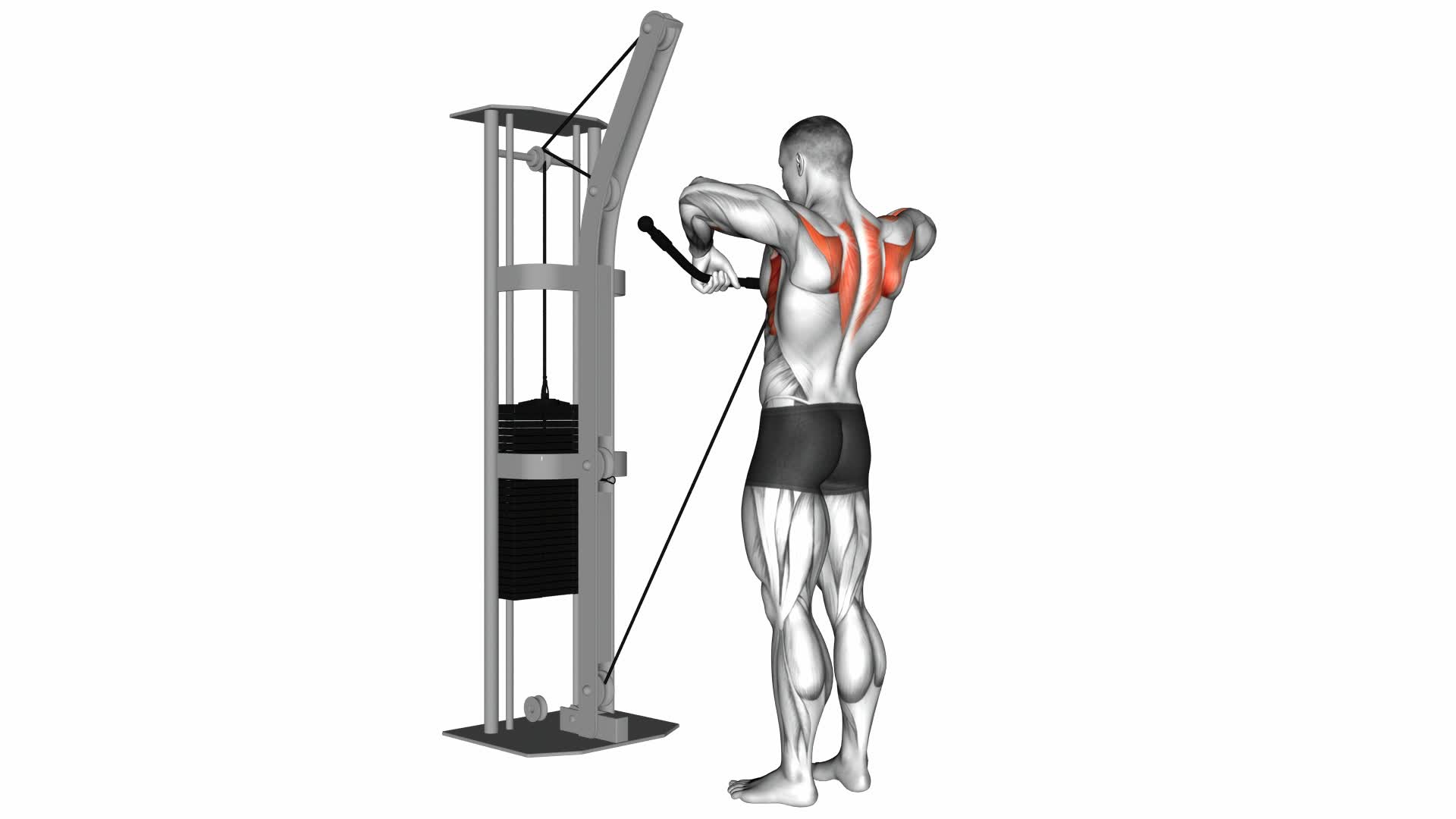 Cable Upright Row - Video Exercise Guide & Tips