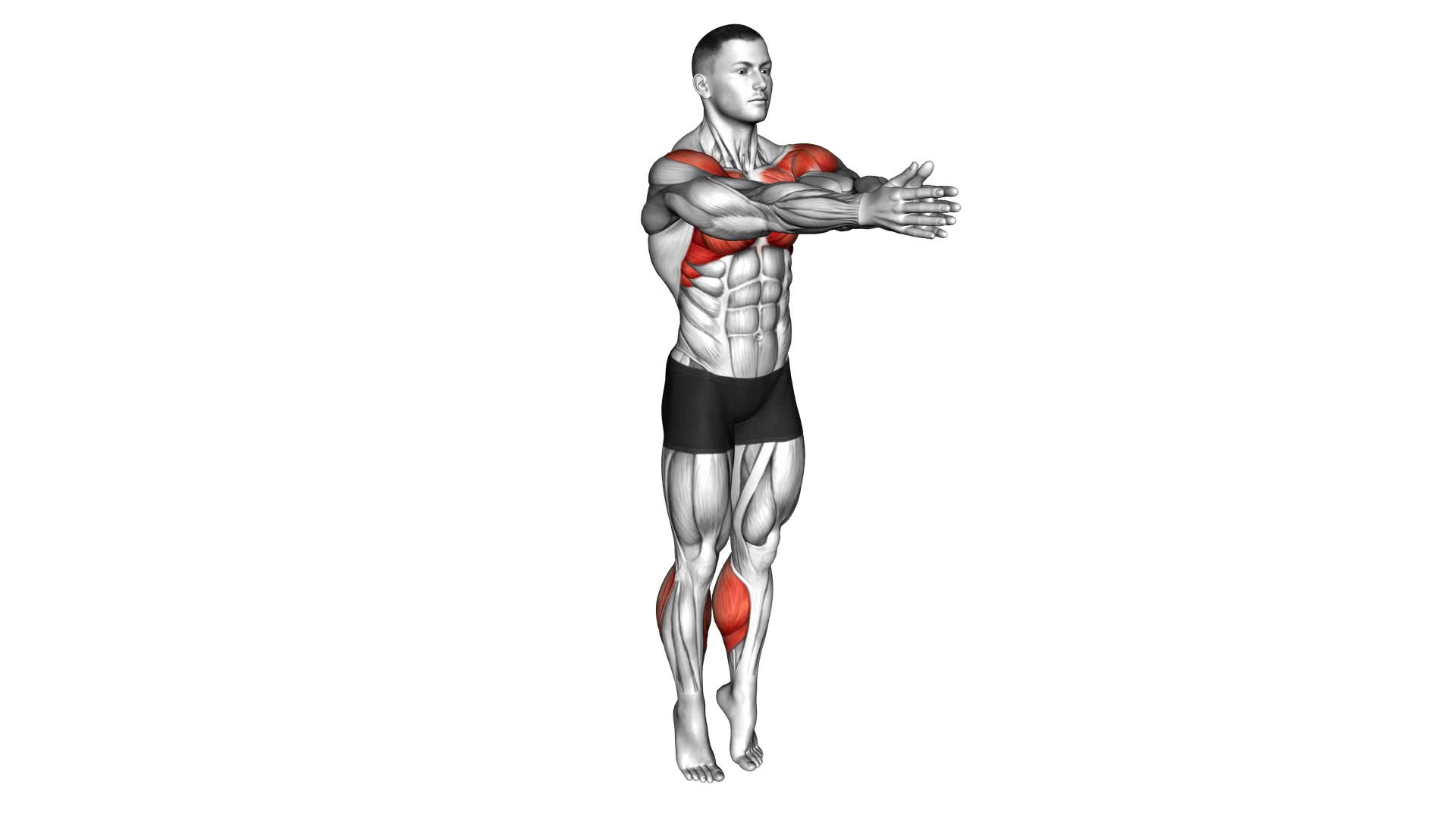 Calf Raise Clap (male) - Video Exercise Guide & Tips