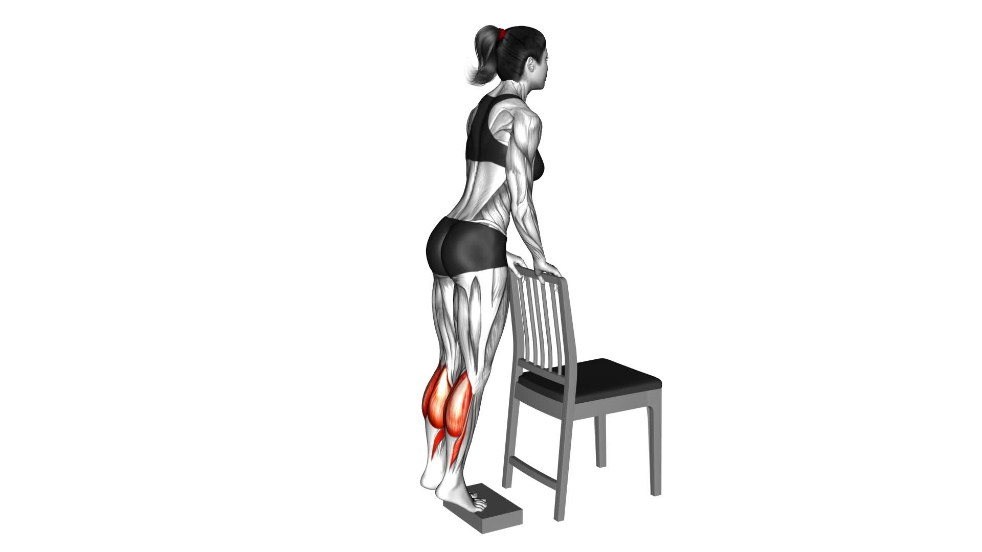 Calf Raise From Deficit With Chair Supported (Female) - Video Exercise Guide & Tips