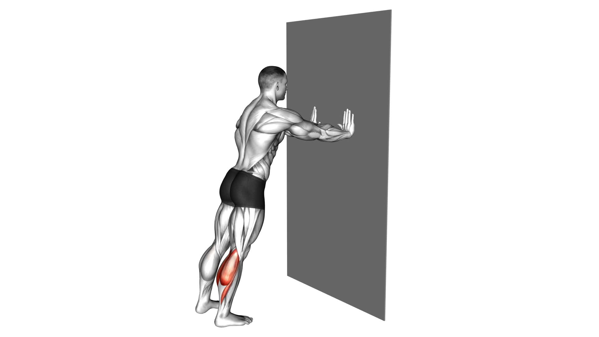 Calf Stretch With Hands Against Wall - Video Exercise Guide & Tips