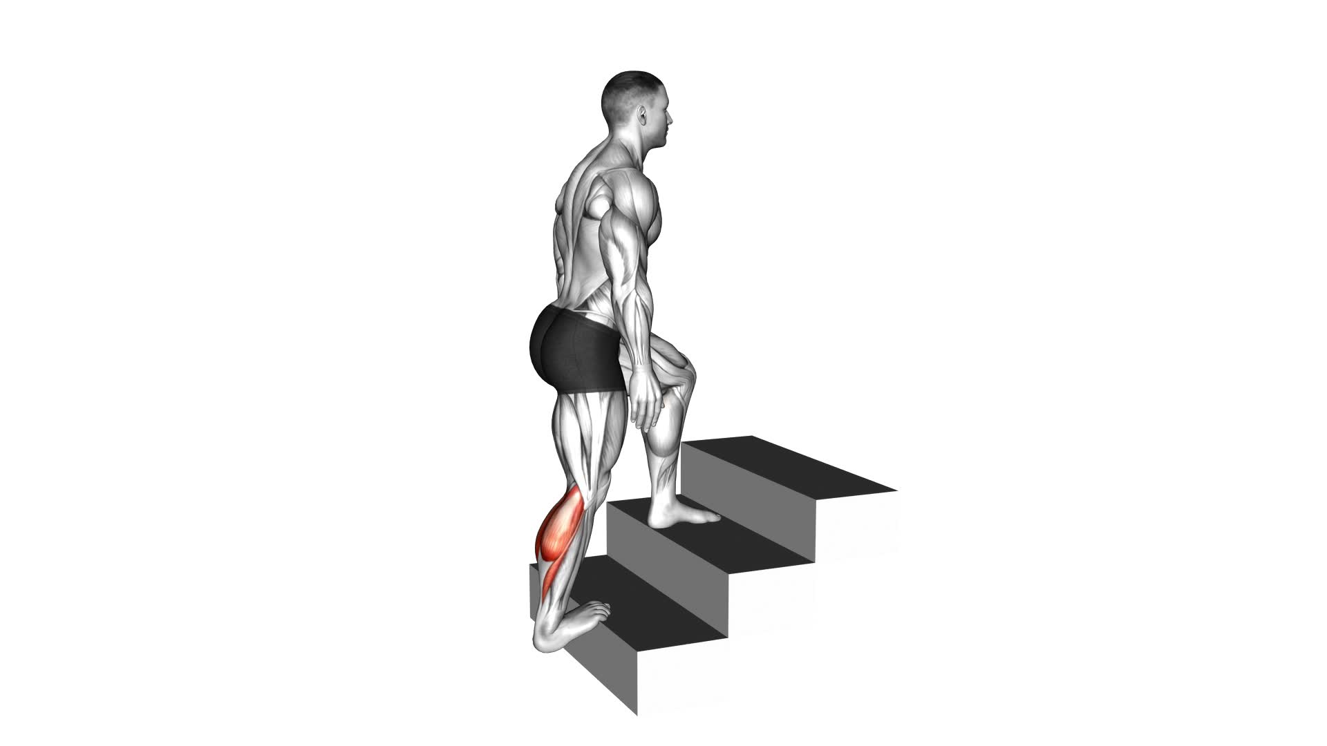 Calves Stretch (Male) - Video Exercise Guide & Tips