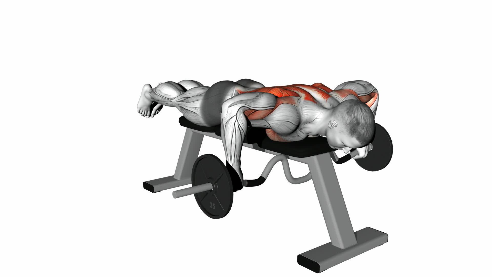 Cambered-Bar Lying Row - Video Exercise Guide & Tips