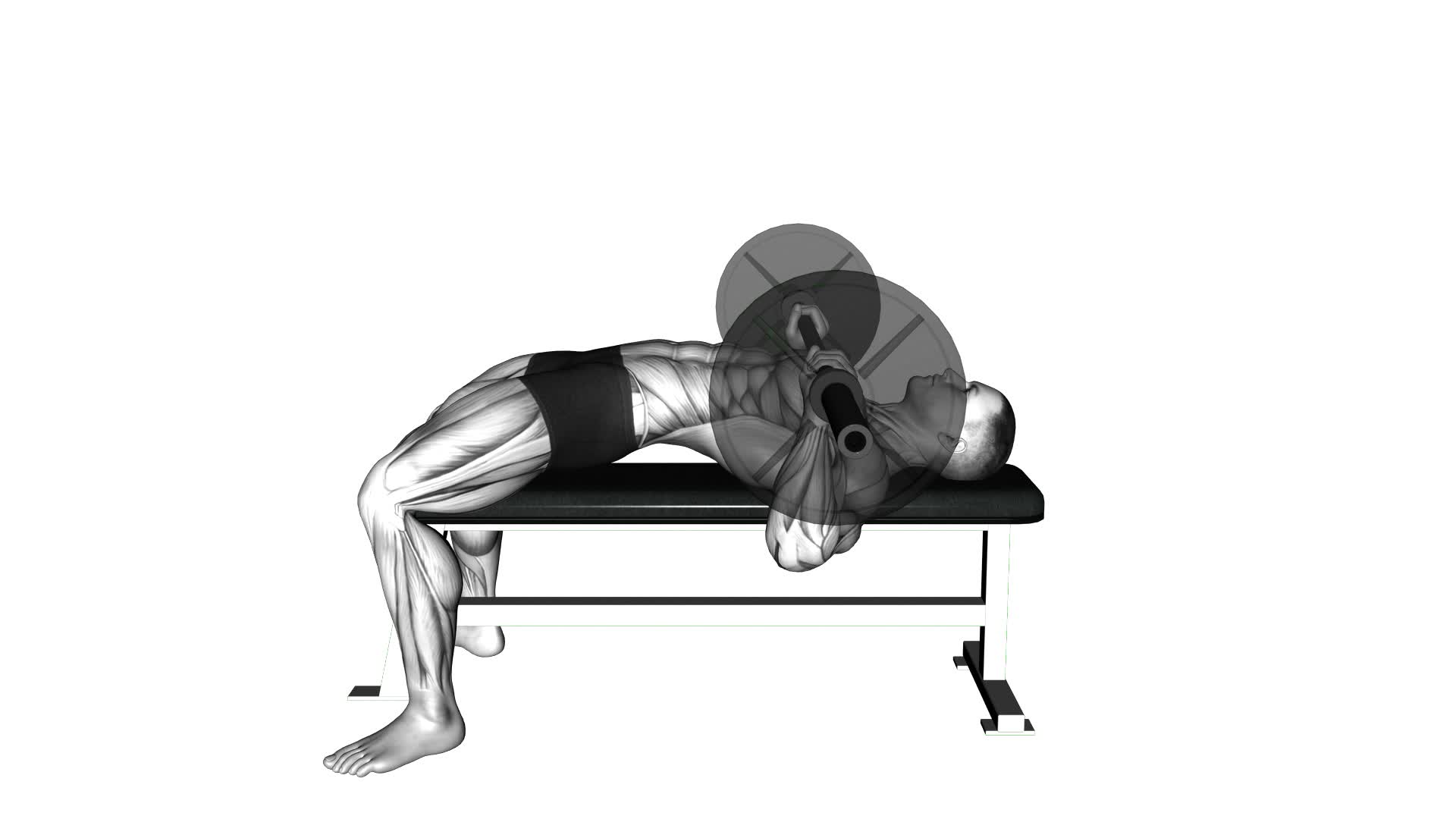 Chest Bench Press-Butt (WRONG RIGHT) - Video Exercise Guide & Tips