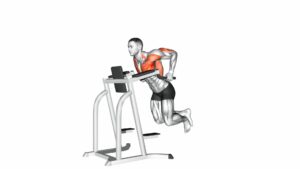 Chest Dip - Video Exercise Guide & Tips