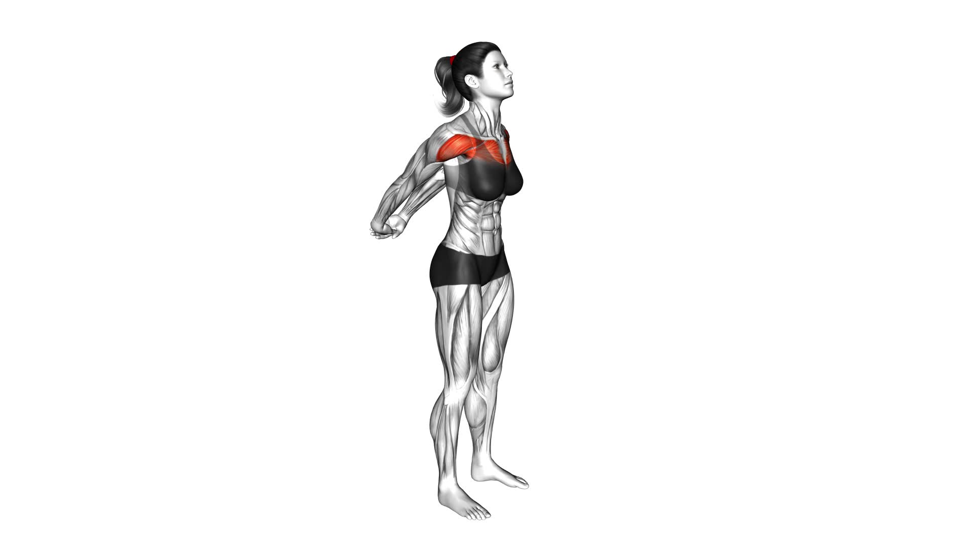 Perfect Your Form: Chest Out Hands Behind (Hold) (Female) - Video ...