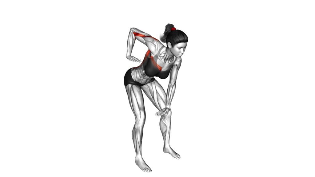 Effective Chest Pull Back Exercise For Women - Video Guide & Tips