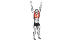 Circles Arm (male) - Video Exercise Guide & Tips