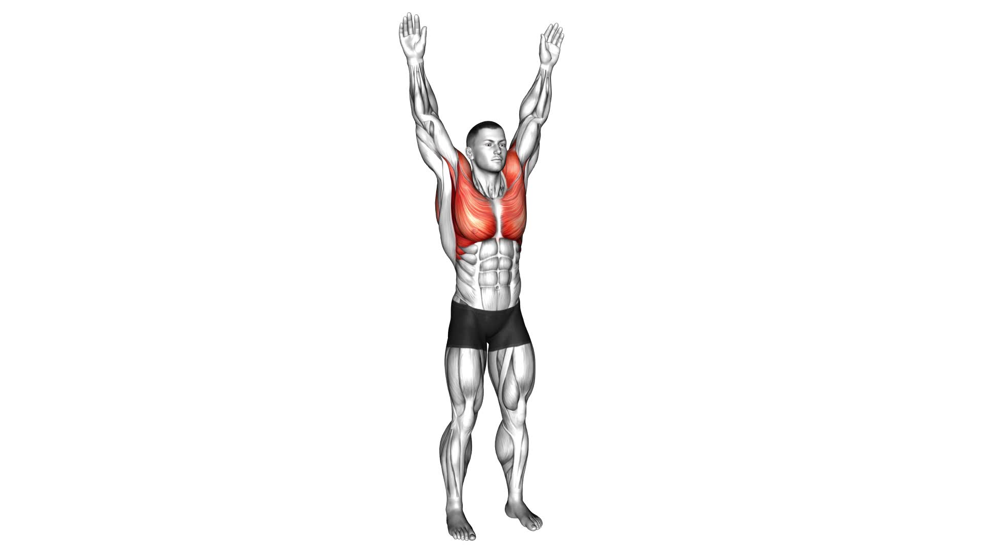 Male Arm Circles: Video Guide & Tips For Effective Exercise