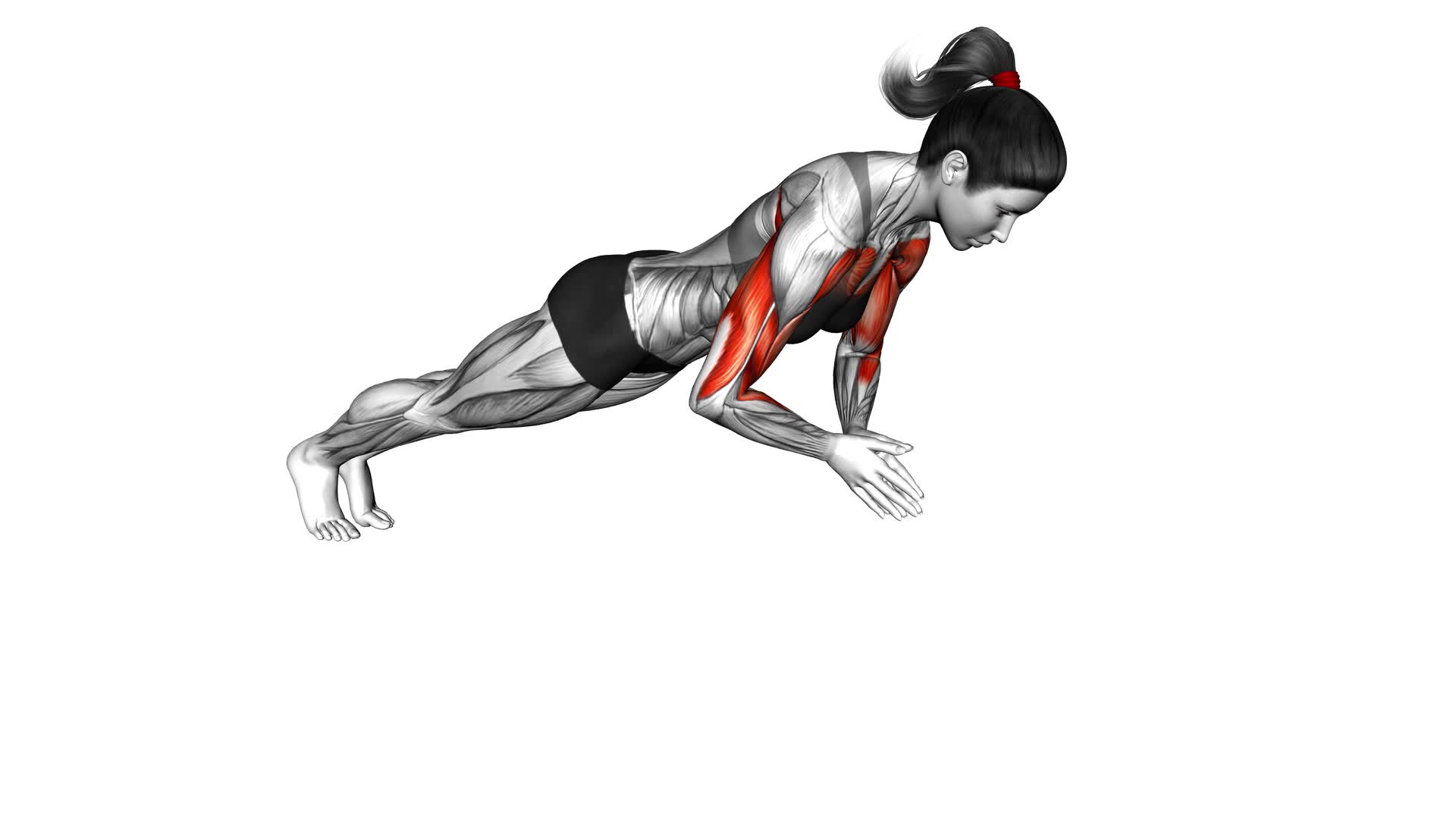 Clap Push-up (female) - Video Exercise Guide & Tips