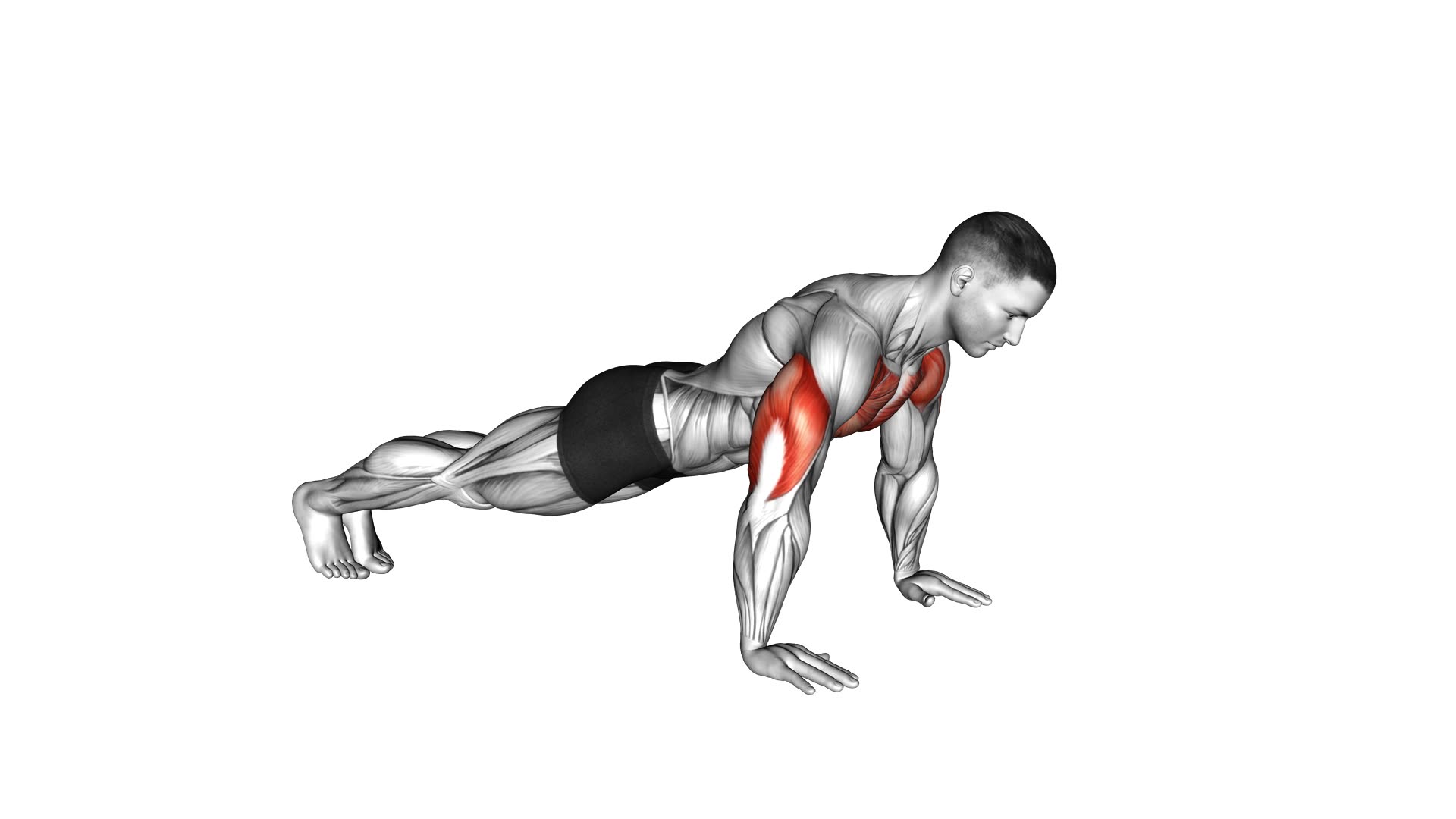 Clock Push-Up - Video Exercise Guide & Tips