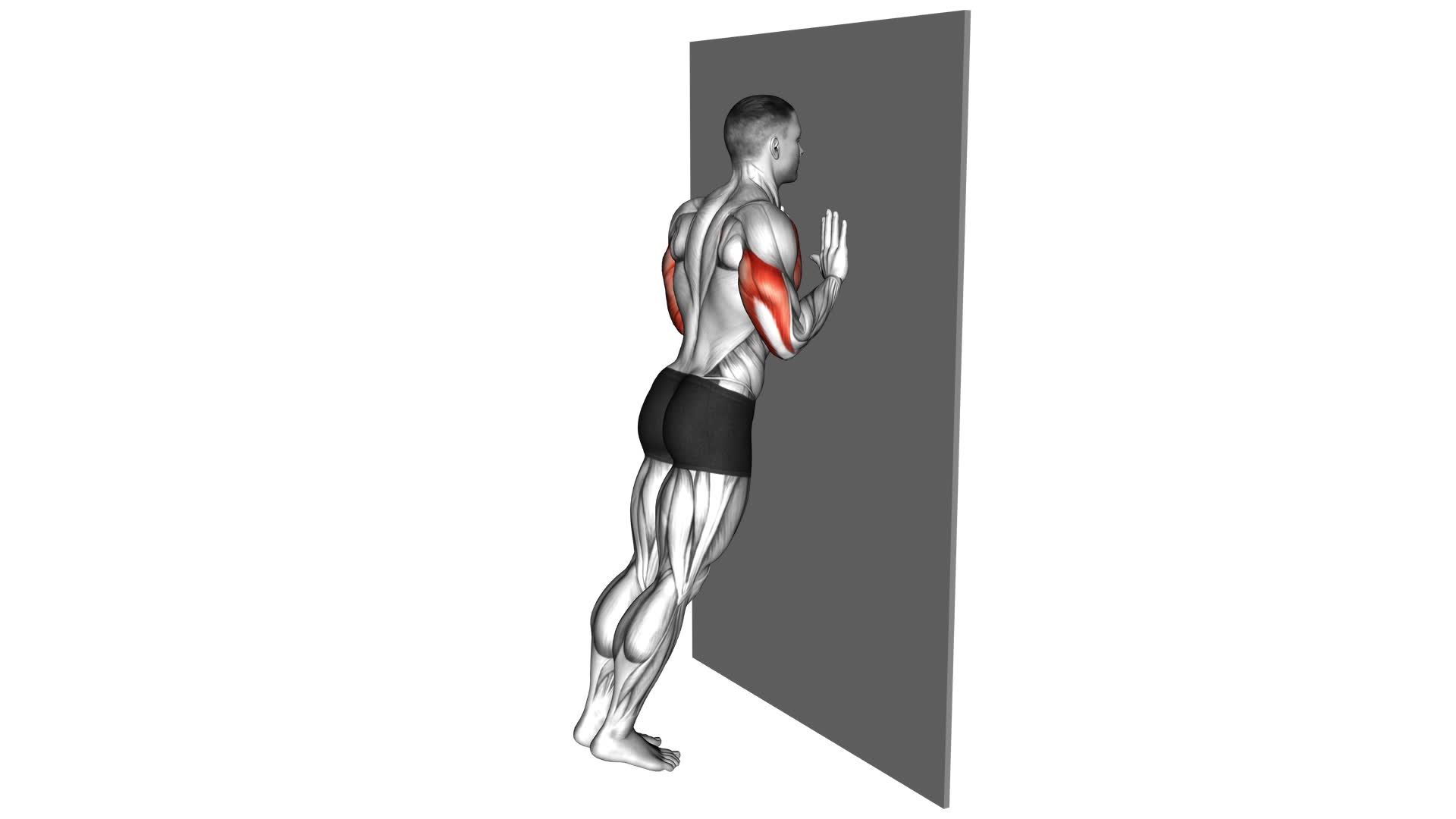 Close Grip Push-Up Against the Wall - Video Exercise Guide & Tips