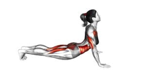 Cobra Push-up (female) - Video Exercise Guide & Tips