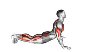 Cobra Push up - Video Exercise Guide & Tips