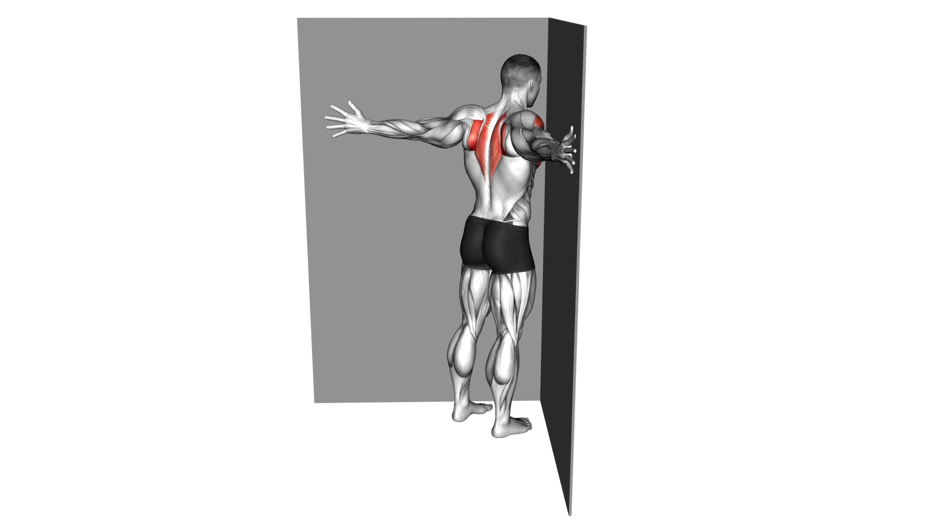 Coner Wall Chest Stretch - Video Exercise Guide & Tips