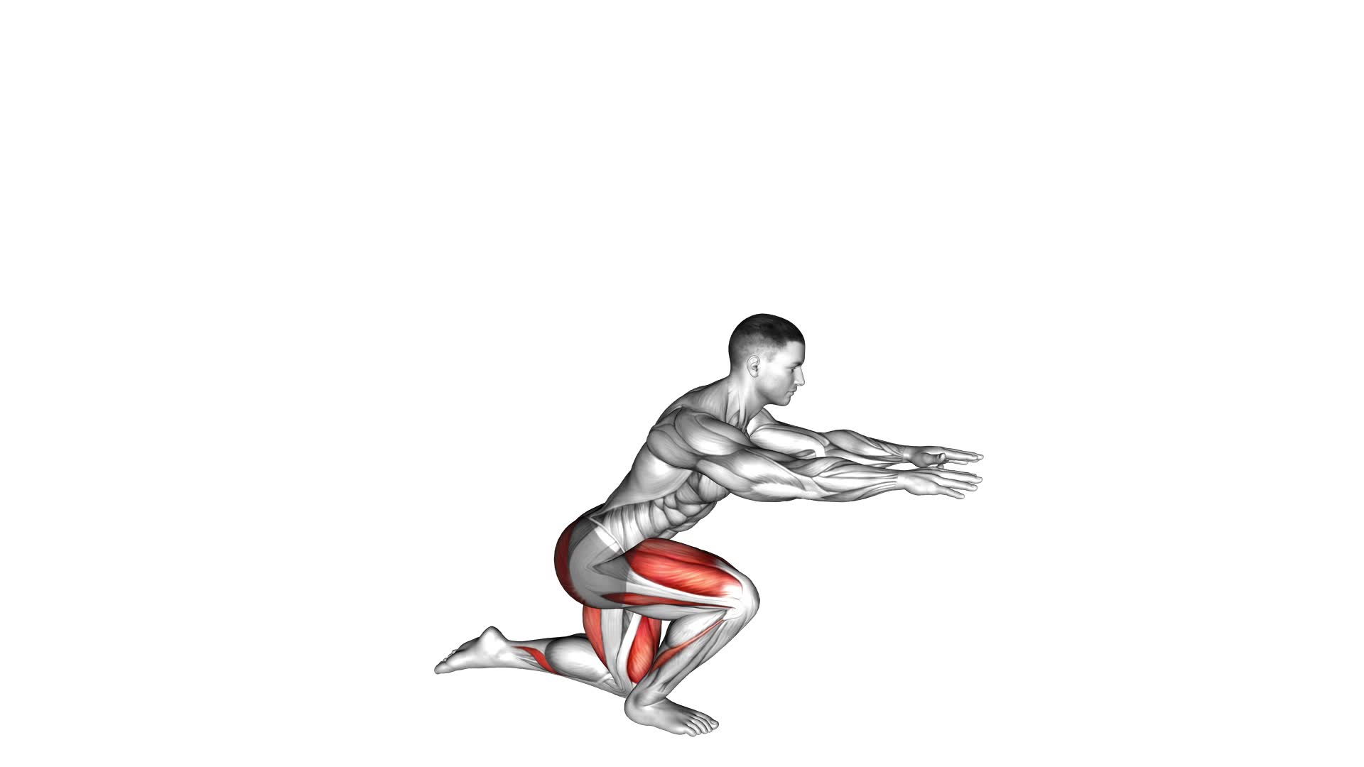 Counterbalanced Skater Squat (male) - Video Exercise Guide & Tips